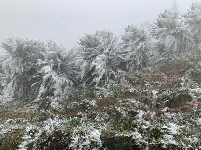 Strong cold spell expected ahead of New Year holiday